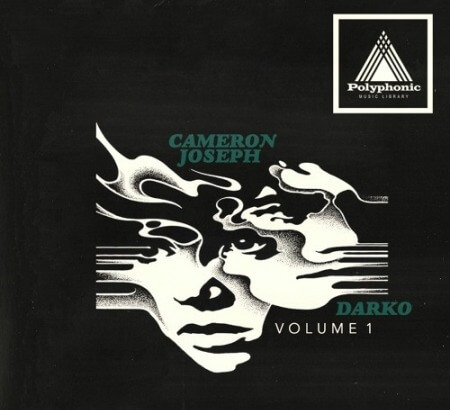 Polyphonic Music Library Cameron Joseph x Darko Vol.1 WAV